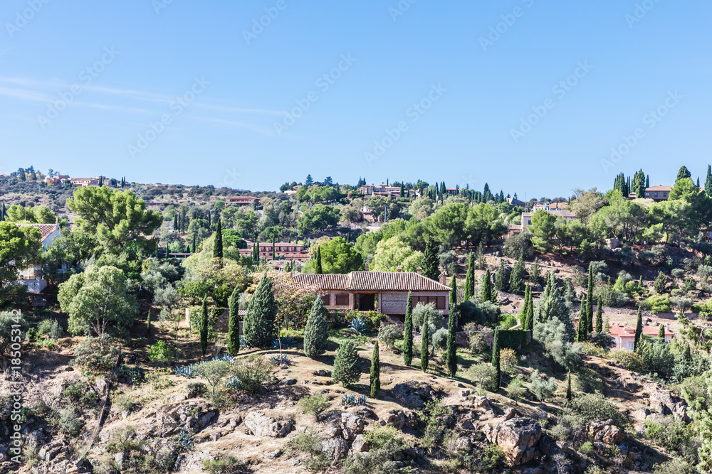 landscape with cypresses in the surroundings of Toledo, Spain
