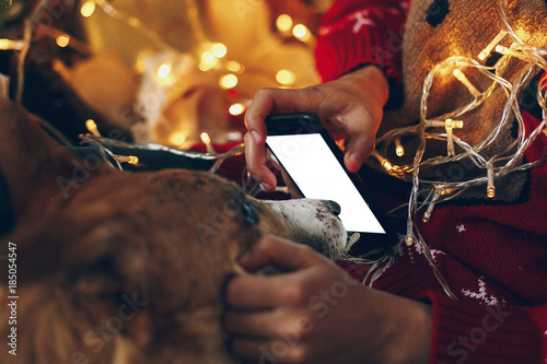 hand holding empty smart phone screen and showing to dog on background of beautiful christmas tree lights. merry christmas and happy new year concept. space for text. seasonal greetings