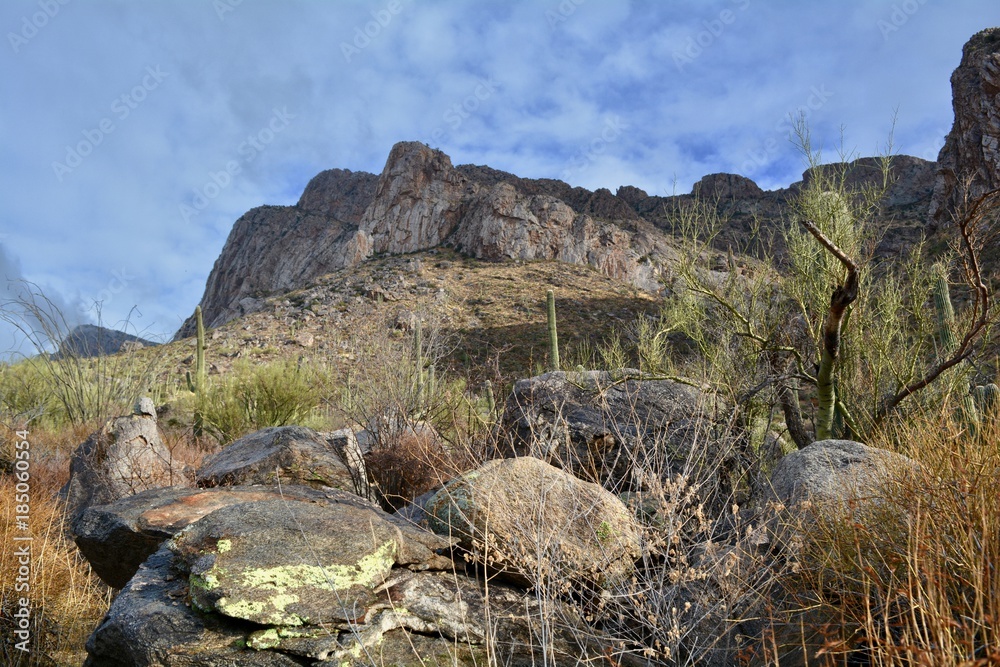 Linda Vista Hiking Trail Oro Valley Arizona Linda Vista Hiking Trail Oro Valley Arizona
