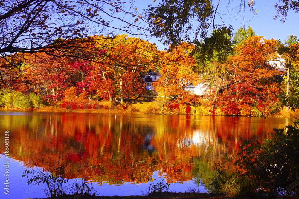Autumn Lake Reflections 