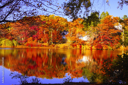 Fototapeta Naklejka Na Ścianę i Meble -  Autumn Lake Reflections 