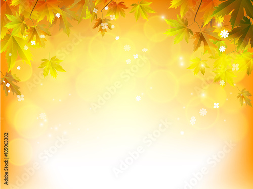 Autumn leaves maple and with papper background