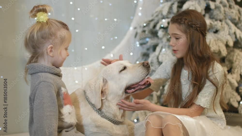 Dog sits with two girls next to the Christmas tree Dog sits with two girls next to the Christmas tree