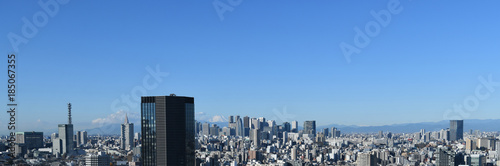 日本の東京都市風景「富士山と新宿などの超高層ビル群や街並みなどを望む」 © Ryuji
