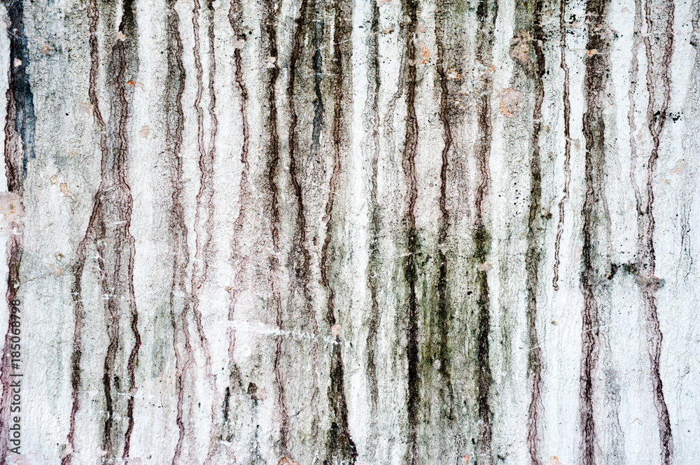 Obraz premium Grunge Wall Background