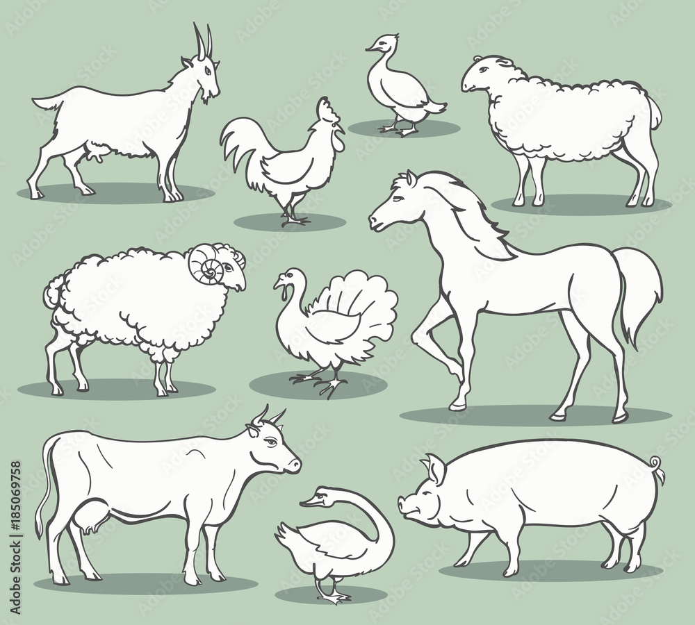 Farm animals sketch. Livestock doodle set vector illustration like turkey and horse, sheep and chicken, goat and sheep