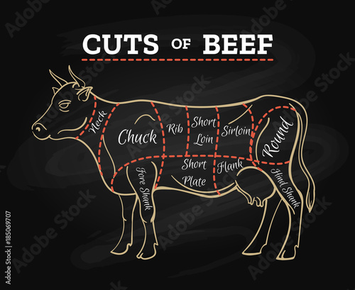 Cow meat steak diagram. Cow butcher cut beef chalkboard scheme for restaurant menu poster, vector illustration