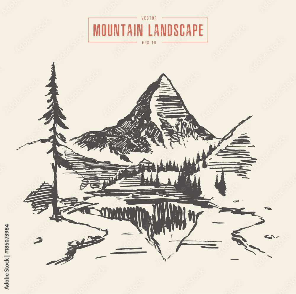 Mountain landscape lake spruces vector drawn