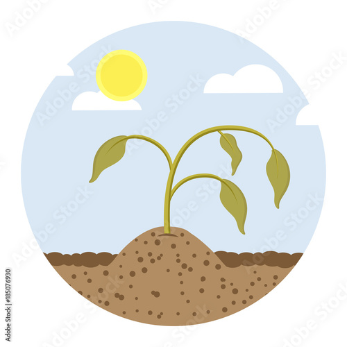 Tote Pflanze vertrocknet Flat Design Icon