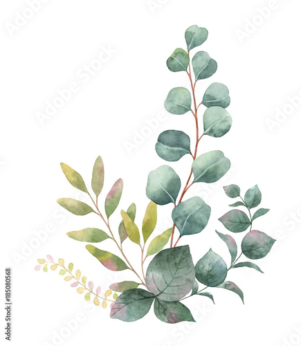 Fotografie, Obraz Watercolor vector bouquet with green eucalyptus leaves and branches