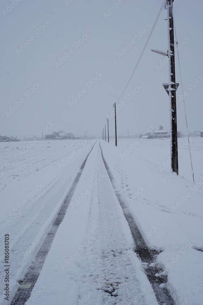 日本の冬の田舎道　細い道路と電柱と田畑　吹雪