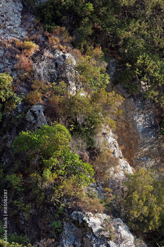 Barres Rocheuses et maquis  de costa verde en haute Corse 