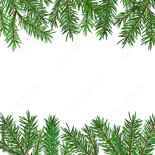 Background with realistic green fir tree branch. Christmas  New Year symbol.