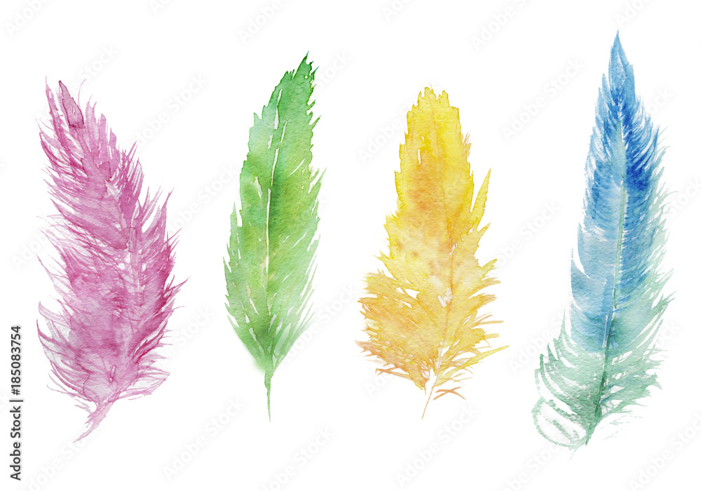 いろいろな色の羽根 水彩イラスト Stock イラスト Adobe Stock