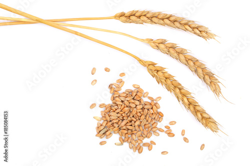 grain and ears of wheat isolated on white background. Top view