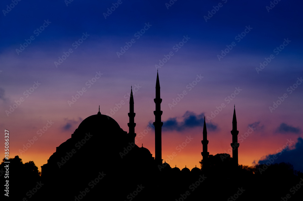 Istanbul Evening Skyline