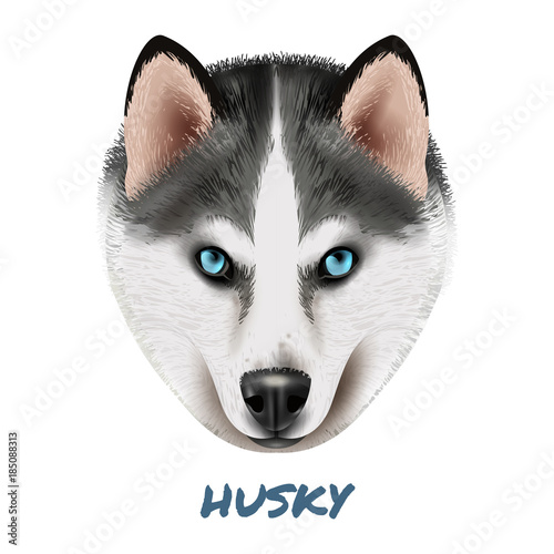 Realistic Dog Husky Portrait Composition