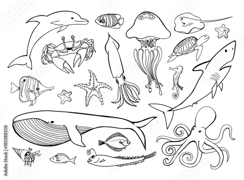 Sea animals line icons hand drawn set. Doodle ocean life collection for your marine design. Vector graphic illustration