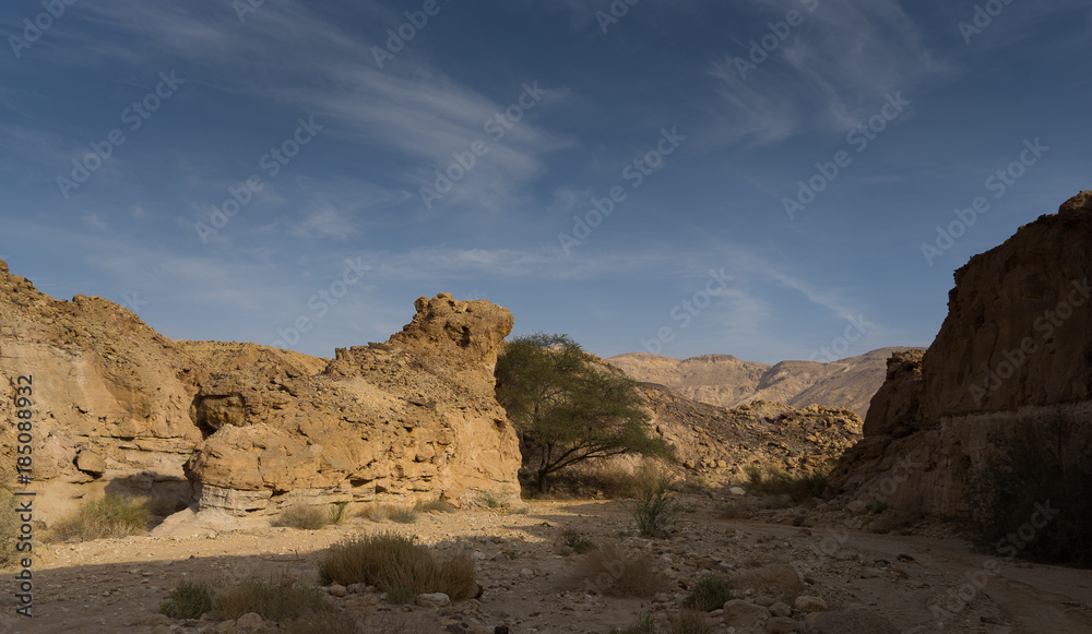 Travel in Israel negev desert landscape