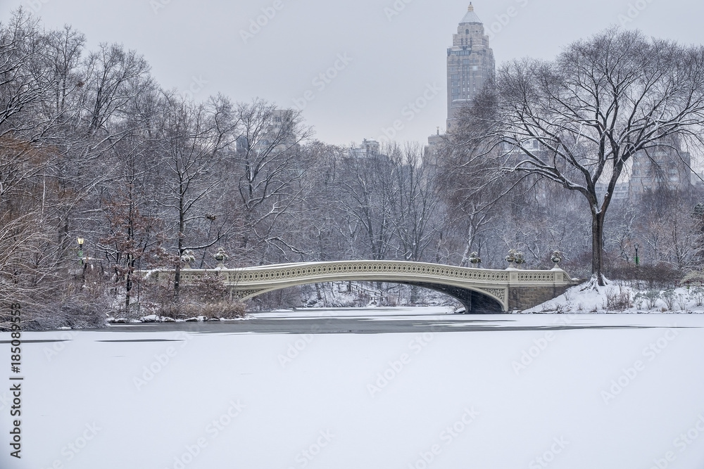 Obraz premium Bow bridge Central Park