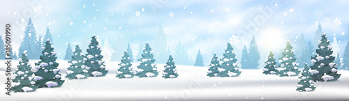 Winter Forest Landscape Horizontal Banner Pine Trees Falling Snow White View Blue Sky Christmas Concept Flat Vector Illustration