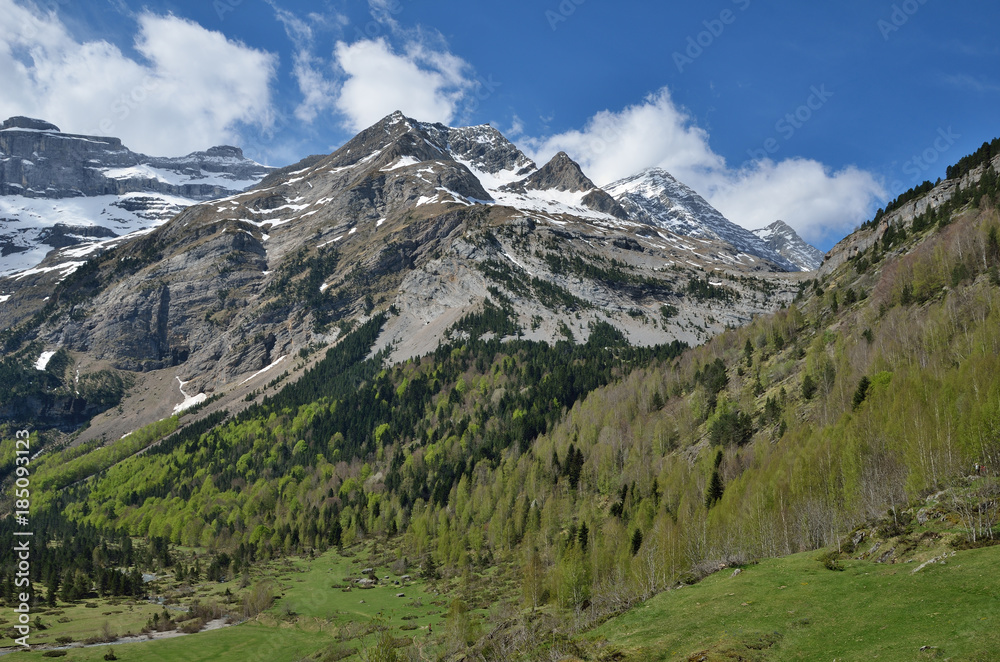 Green valley to the mountain cirque of Gavarnie