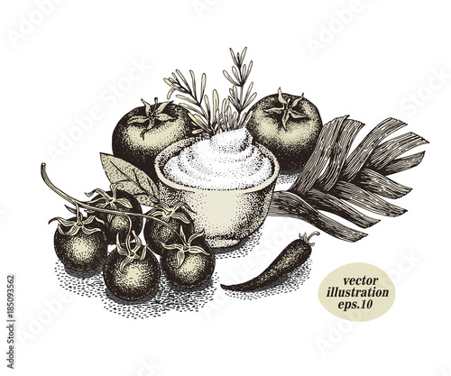 Sauce in bowl and tomatoes, leek, chilli. Hand drawn vector illustration. Retro.