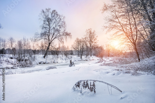 Склонившаяся веточка на берегу замерзшей реки в заснеженном лесу a bent branch of a plant on the bank of a river in a snowy forest