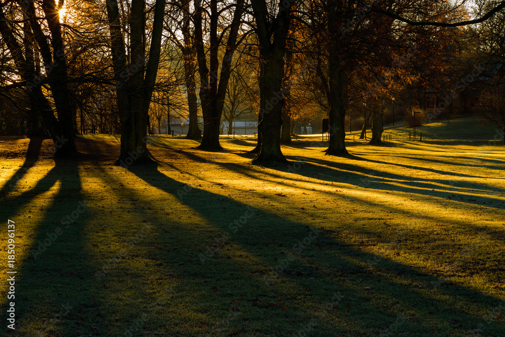 Early morning sunlight shining through bare trees in public park. Location Ronneby in Blekinge, Sweden. Early morning sunlight shining through bare trees in public park. Location Ronneby in Blekinge, Sweden.