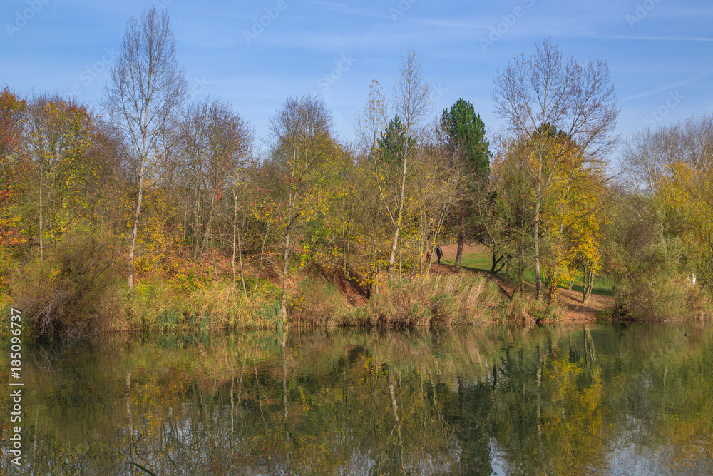Fototapeta premium Paysage d'automne