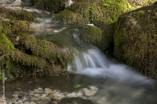 Quelle im Wald
