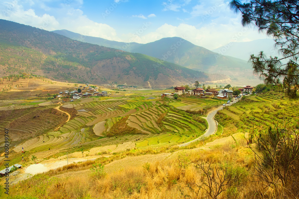 Bhutan, Punakha, panoramic view of valley from Lobesa towards Wangdue Phodrang. Rice crops in the spring time. Nature landscape.