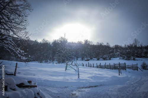 flocons de neige qui tombent sur un paysage de campagne enneigé  photo