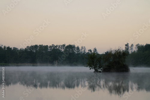 Teich im Nebel