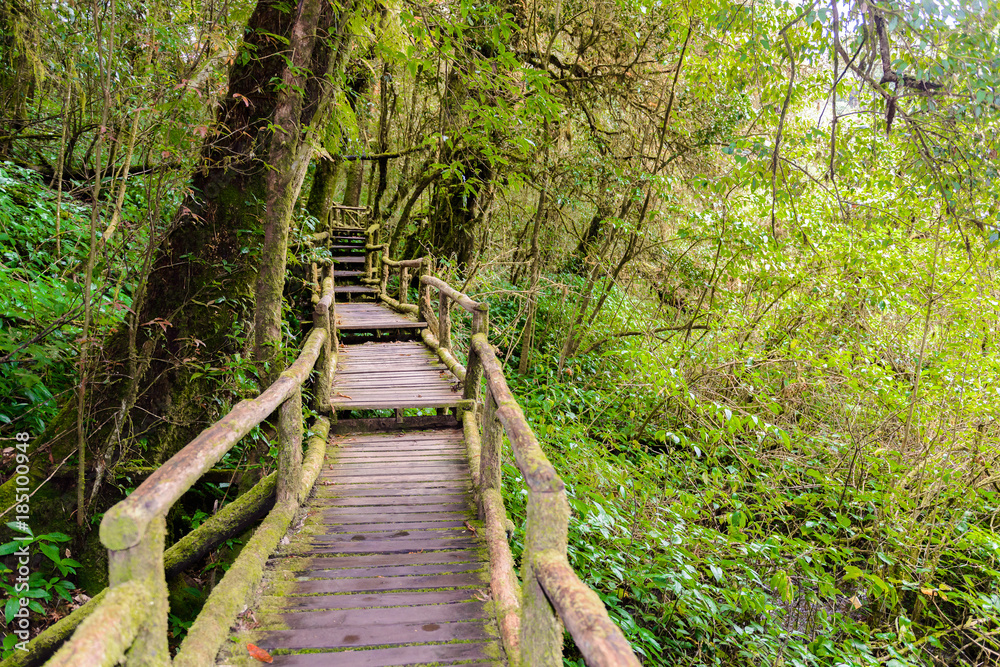 Ang Ka Luang Nature Trail