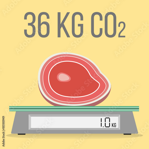 Fleisch CO2 Verbrauch Flat Design