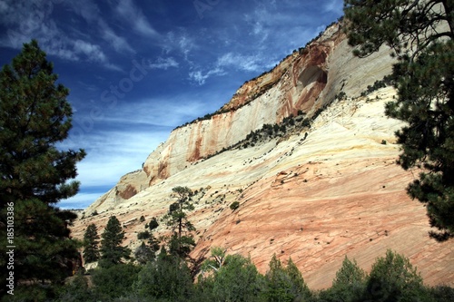 Beautiful Landscape of Zion NP - Utah - USA 