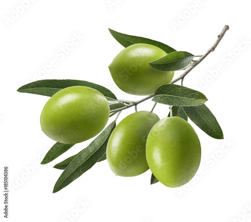 Green olive branch isolated on white background
