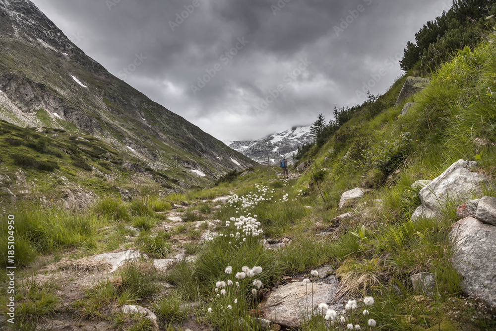 Fototapeta premium Landschaft in Kärnten