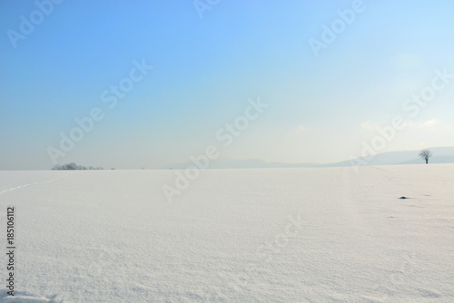 Winter landscape with snow  