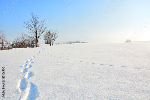 Winter landscape with snow  