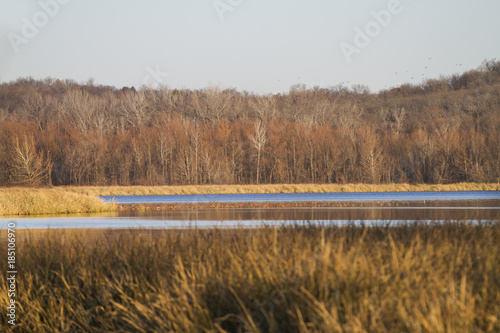 Seasons background, fall or winter landscape with lake, bare branches, golden grass