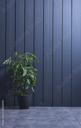 blur background wall and vase of plant