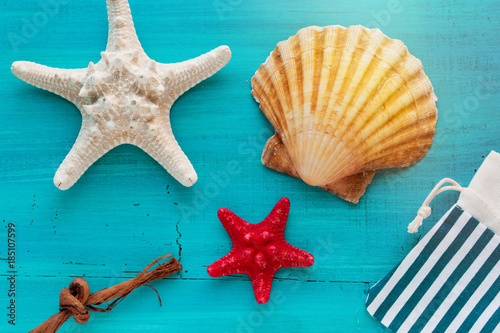 Summer board of sea shells scallop and star fish on blue wooden background