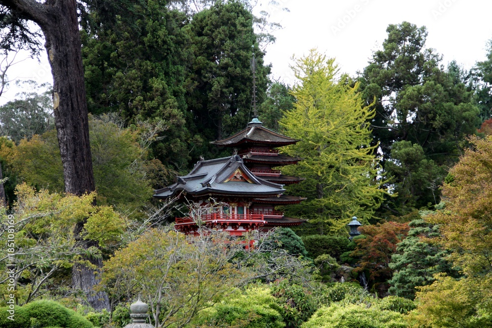 Beautiful Japanese Garden in San Francisco -- USA Beautiful Japanese Garden in San Francisco -- USA