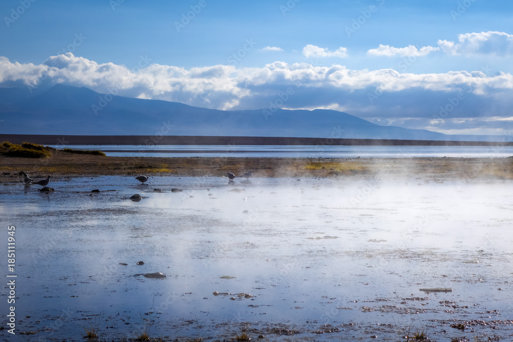 Obraz premium Lake in sol de manana geothermal field, sud Lipez reserva, Bolivia