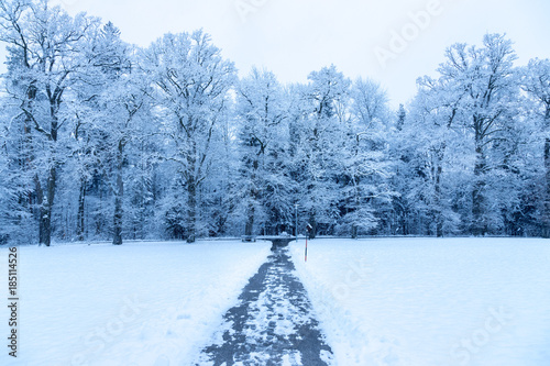 Spazierweg, Wiese und verschneiter Wald im Winter