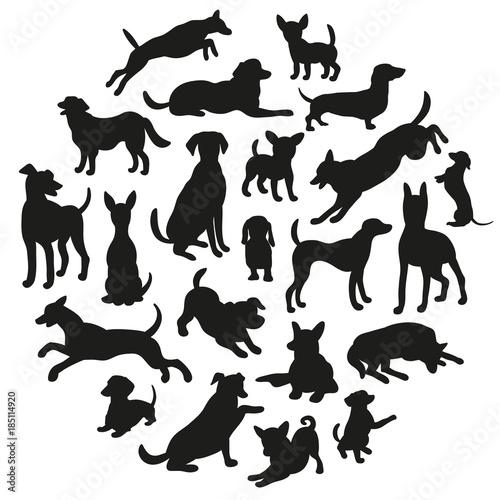 Fototapeta Naklejka Na Ścianę i Meble -  Set of dogs silhouette. Vector illustration for your cute design.