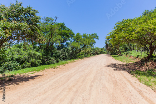 Rural Dirt Road Tropical photo