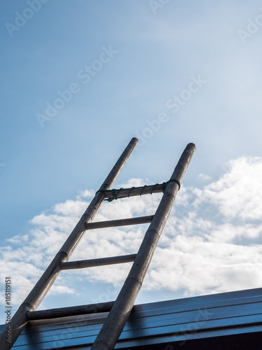 Bamboo ladder under the clear blue sky.